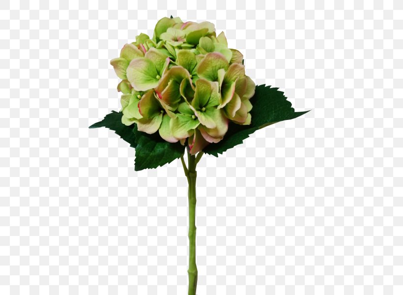 Hydrangea Arranging Cut Flowers Artificial Flower Flower Bouquet, PNG, 800x600px, Hydrangea, Arranging Cut Flowers, Artificial Flower, Cornales, Cut Flowers Download Free
