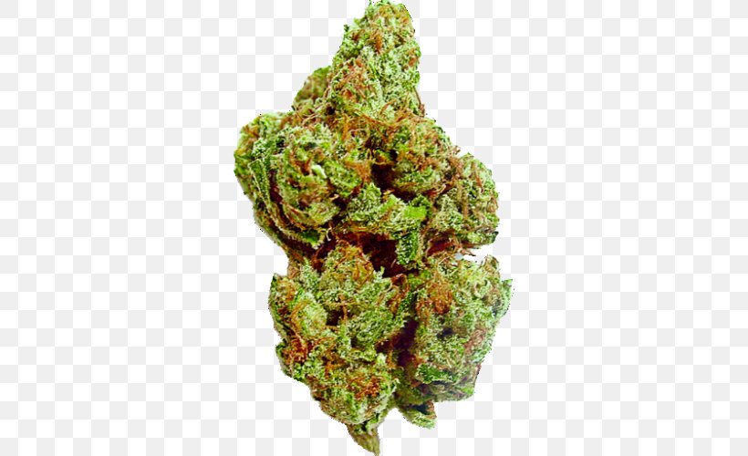 Kush Blue Dream Medical Cannabis Cannabis Smoking, PNG, 500x500px, Kush, Blue Dream, Bud, Cannabidiol, Cannabis Download Free