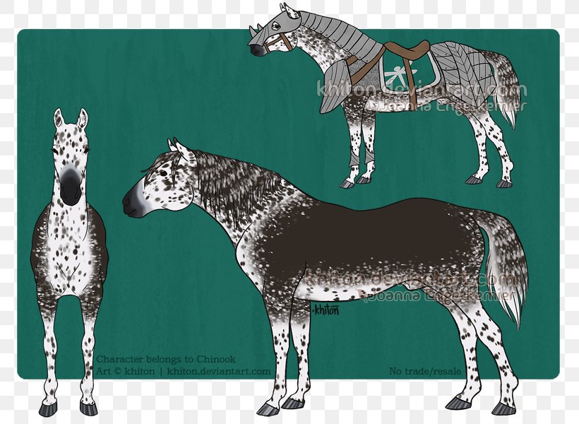 Pony DeviantArt Mustang Stallion, PNG, 800x600px, Pony, Art, Art Museum, Artist, Deviantart Download Free
