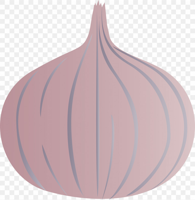 Onion, PNG, 2922x3000px, Onion, Geometry, Lavender, Line, Mathematics Download Free