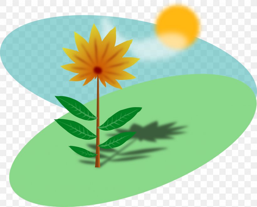Plant Common Sunflower Clip Art, PNG, 1280x1036px, Plant, Botanical Illustration, Common Sunflower, Daisy, Daisy Family Download Free