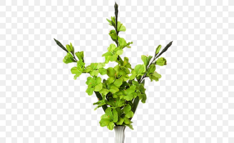 Twig Leaf Vegetable Herb Plant Stem, PNG, 500x500px, Twig, Branch, Flowerpot, Herb, Leaf Download Free