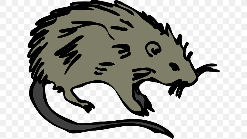 Brown Rat Rodent Clip Art Laboratory Rat Mouse, PNG, 640x462px, Brown Rat, Artwork, Bear, Black Rat, Carnivoran Download Free