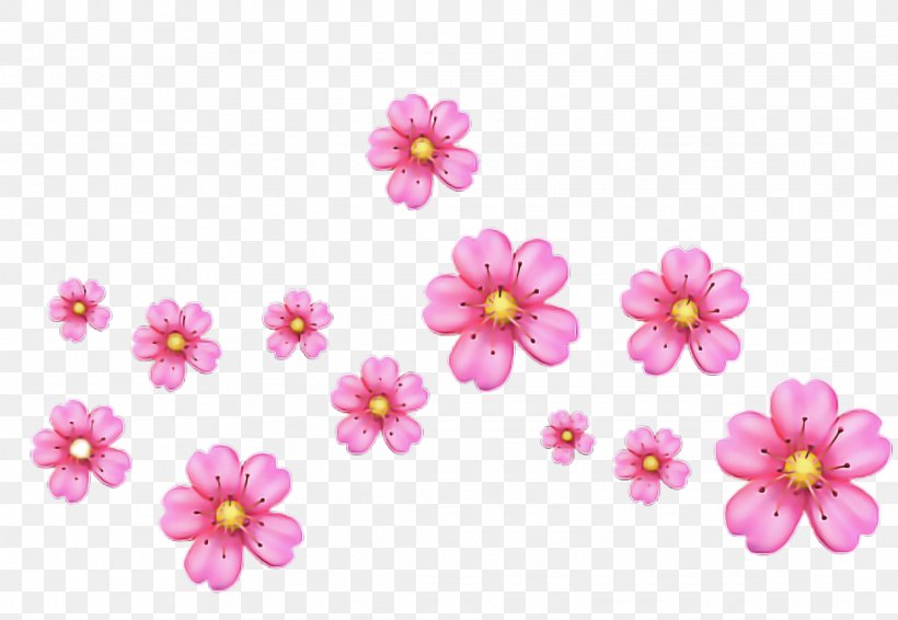 Cherry Blossom Cartoon, PNG, 2178x1504px, Floral Design, Annual Plant, Blossom, Cherries, Cherry Blossom Download Free