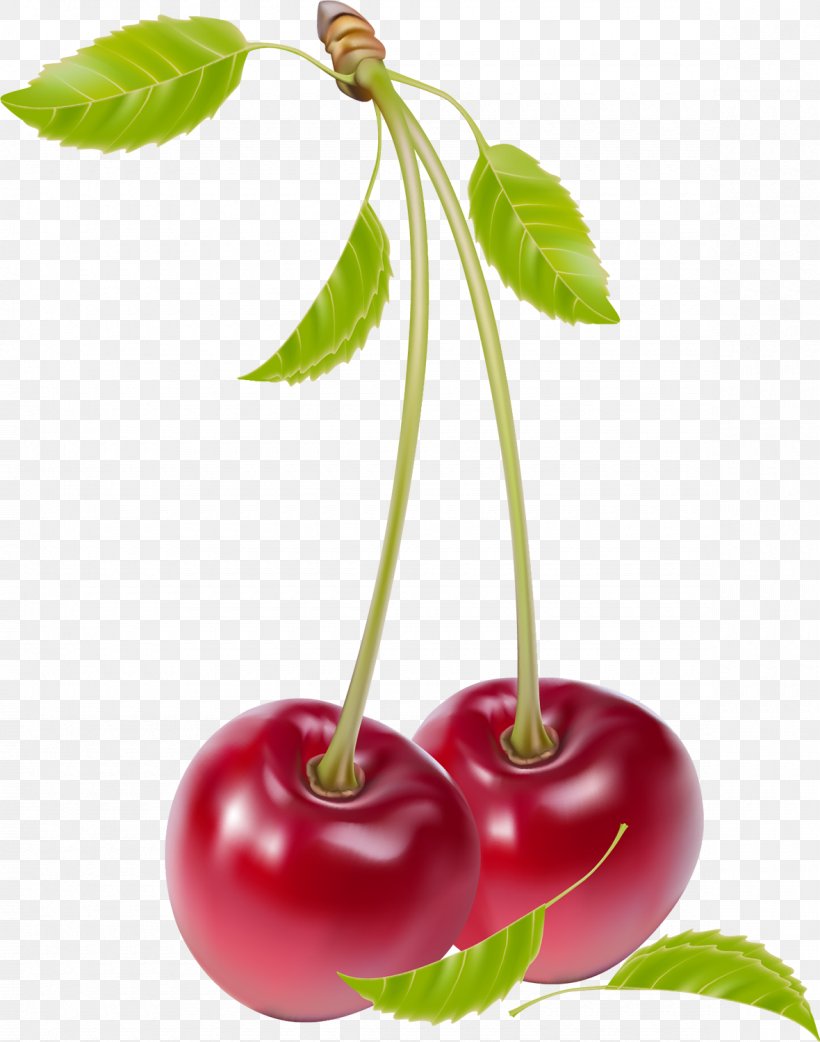 Cherry Fruit Clip Art, PNG, 1180x1500px, Cherry, Apple, Auglis, Berry, Blueberry Download Free