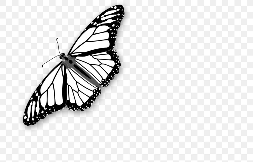 Coloring Book Monarch Butterfly Image, PNG, 700x525px, Coloring Book, Adult, Arthropod, Black And White, Book Download Free