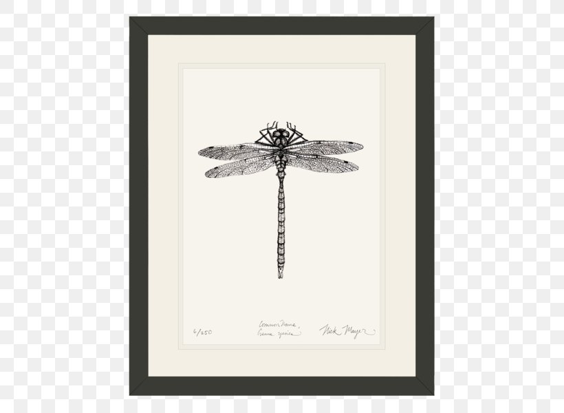 Dragonfly Nick Mayer Art, LLC /m/02csf Drawing Pacific Electric Ray, PNG, 505x600px, Dragonfly, Artwork, Black And White, Boxedcom, California Twospot Octopus Download Free