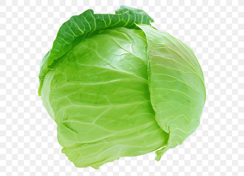 Red Cabbage Cauliflower Savoy Cabbage Coleslaw, PNG, 600x594px, Cabbage, Brassica Oleracea, Brussels Sprout, Cauliflower, Coleslaw Download Free
