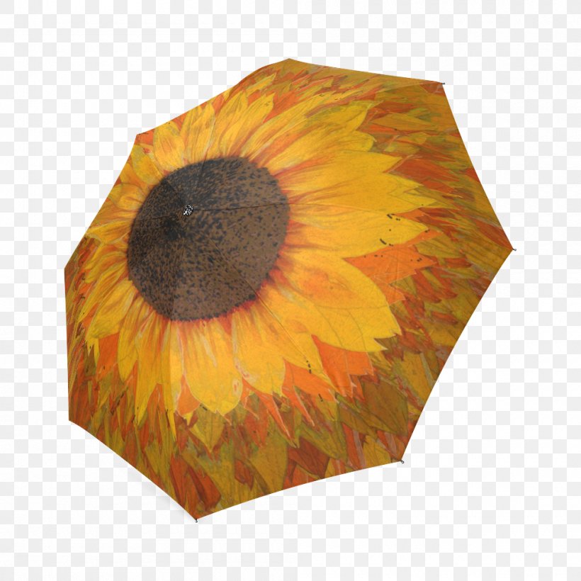 Sunflower M Umbrella, PNG, 1000x1000px, Sunflower M, Flower, Flowering Plant, Orange, Petal Download Free
