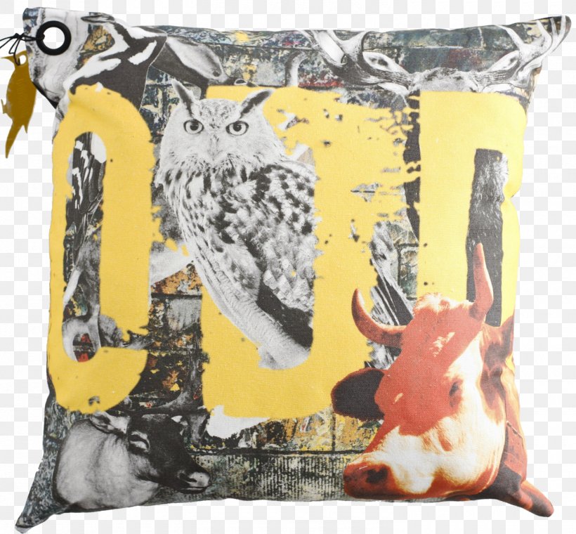 Cushion Throw Pillows, PNG, 1500x1392px, Cushion, Pillow, Throw Pillow, Throw Pillows Download Free