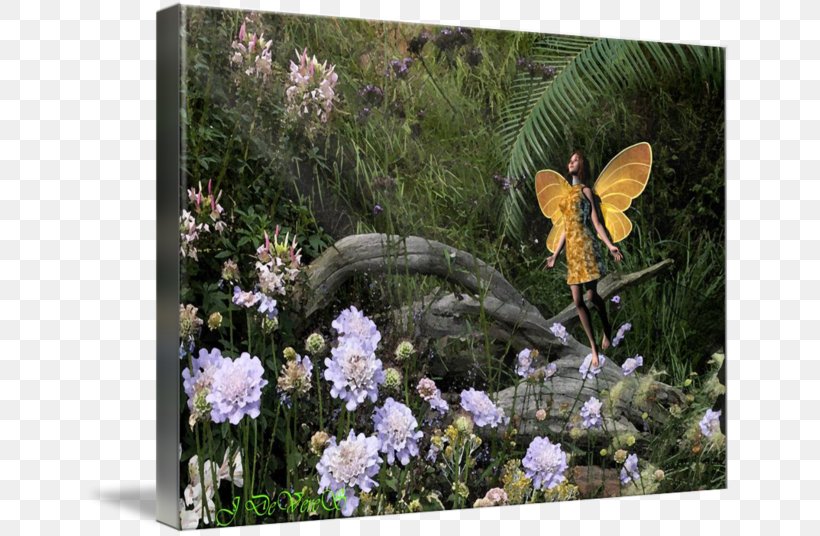 Fauna Gallery Wrap Garden Canvas Art, PNG, 650x536px, Fauna, Art, Canvas, Flora, Flower Download Free