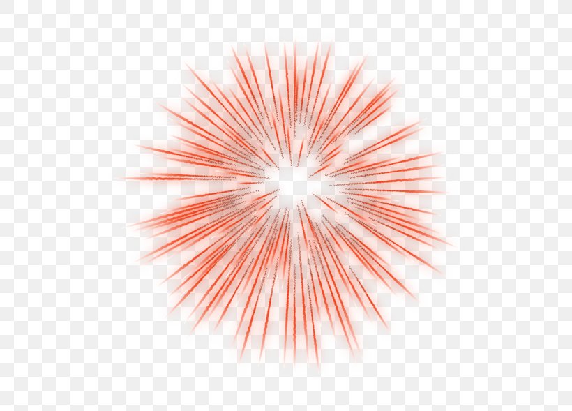 Fireworks Animation Photography Clip Art, PNG, 600x589px, Fireworks, Animation, Blue, Color, Drawing Download Free