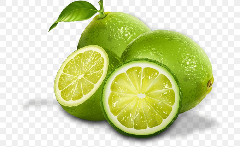 Lemon-lime Drink Key Lime Pie Clip Art, PNG, 703x504px, Lemonlime Drink, Bitter Orange, Citric Acid, Citron, Citrus Download Free