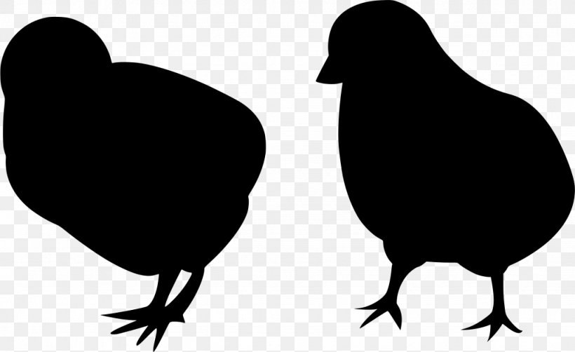 Love Bird, PNG, 1024x627px, Chicken, Beak, Bird, Blackandwhite, Fowl Download Free