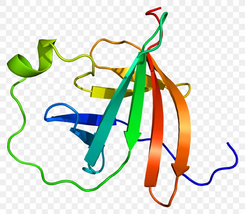 MTCP1 Protein Kinase B Gene AKT1, PNG, 913x798px, Protein, Area, Chromosome, Chromosome 19, Gene Download Free