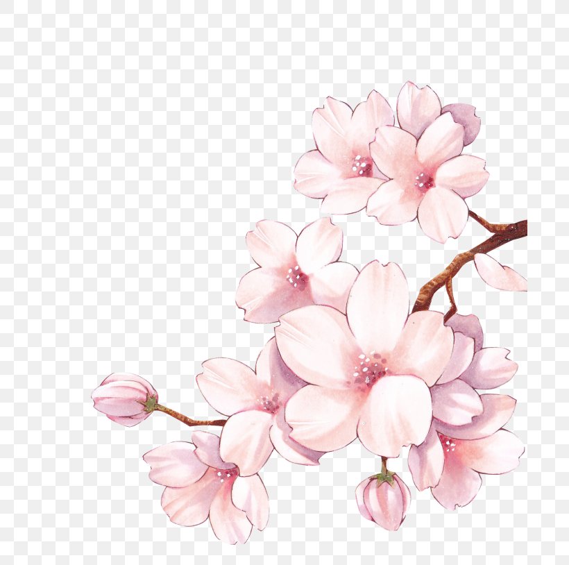 Paper Cherry Blossom Watercolor Painting Flower, PNG, 700x814px, Paper, Art, Blossom, Branch, Cherry Download Free