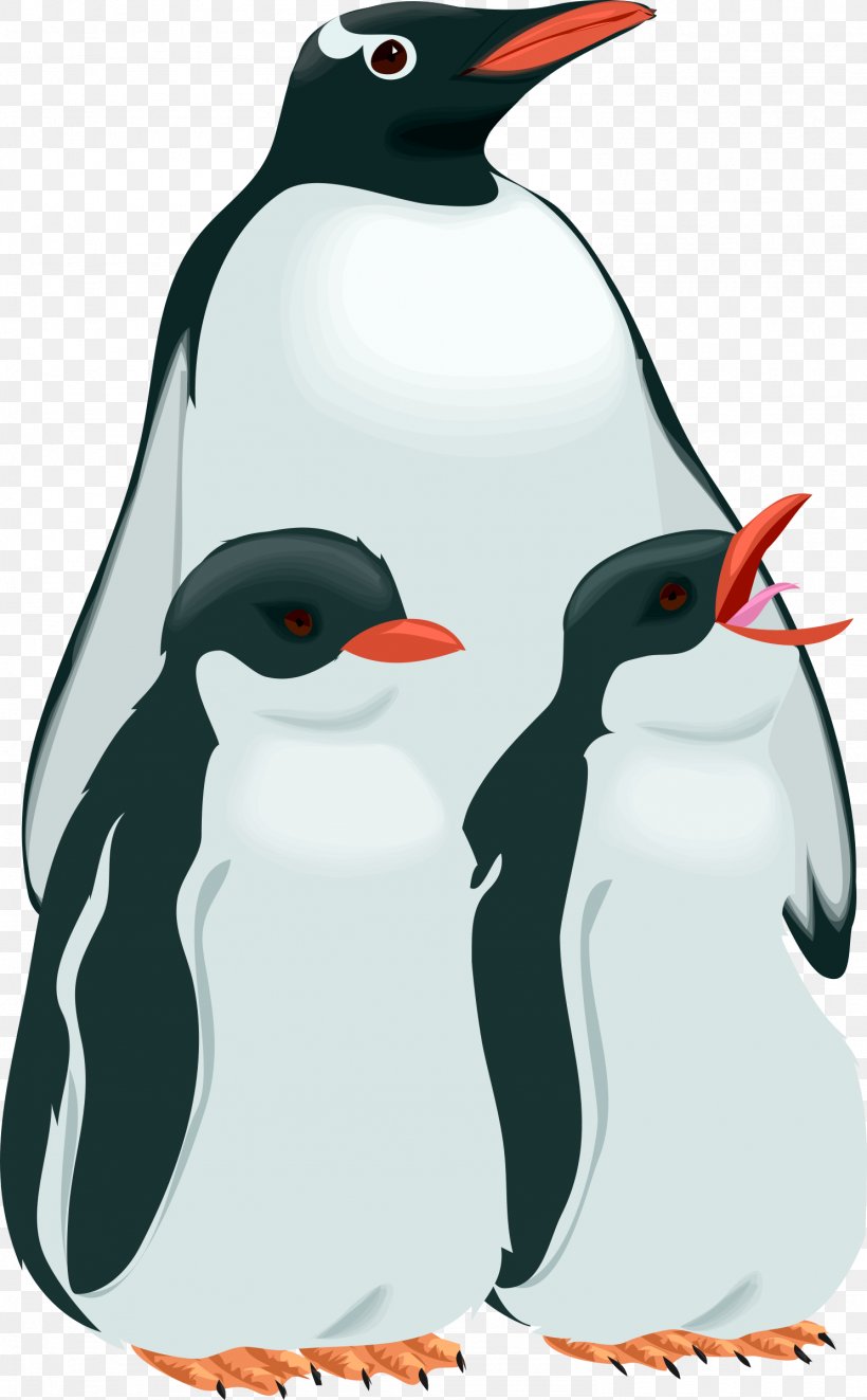 Penguin Bird Clip Art, PNG, 1487x2400px, Penguin, Beak, Bird, Child, Emperor Penguin Download Free