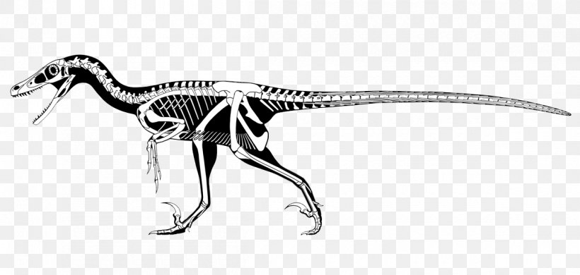 Velociraptor Utahraptor Deinonychus Tyrannosaurus Dromaeosaurus, PNG, 1200x571px, Velociraptor, Anatomy, Animal Figure, Balaur, Black And White Download Free