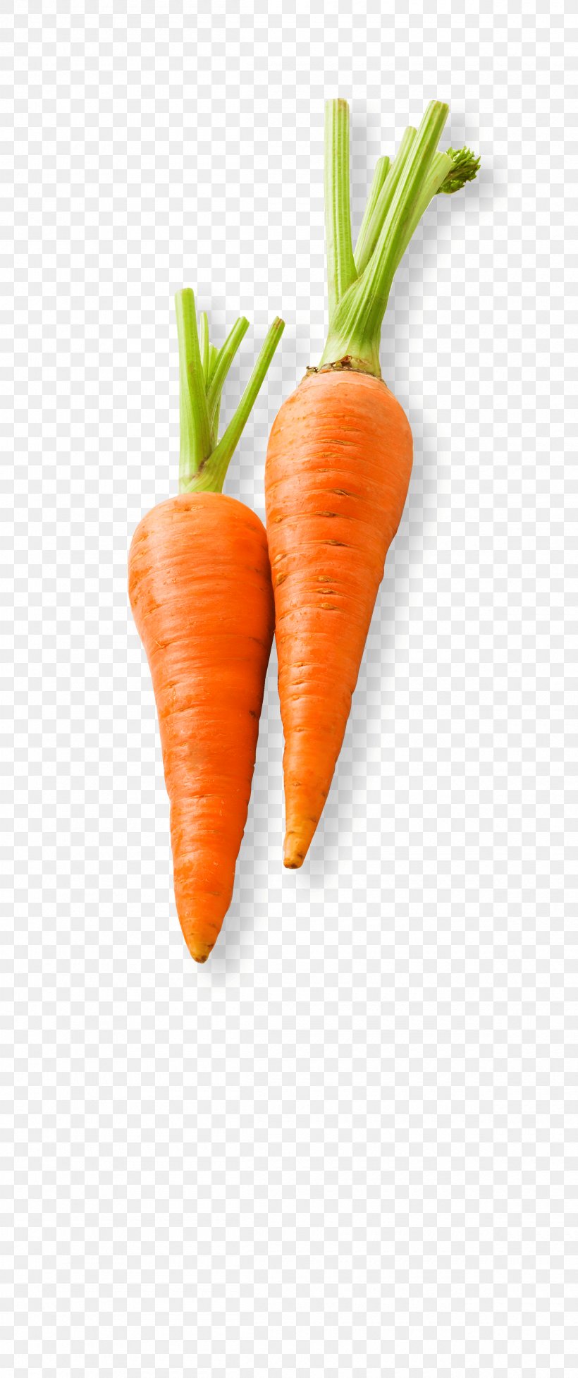 Baby Carrot Vegetable Food Carrot Cake, PNG, 2400x5721px, Carrot, Baby Carrot, Baby Food, Carrot Cake, Carrot Seed Oil Download Free
