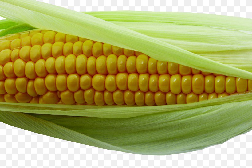 Corn On The Cob Maize Corn Kernel, PNG, 820x546px, Corn On The Cob, Caryopsis, Commodity, Corn Kernel, Corn Kernels Download Free