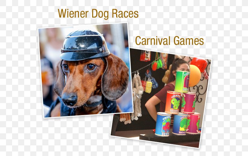 Old World German Restaurant Oktoberfest Dog Pet Party, PNG, 600x515px, Old World German Restaurant, Advertising, Animal, Breed, Canidae Download Free