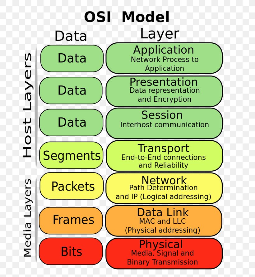 OSI Model Transport Layer Data Link Layer Computer Hardware Physical Layer, PNG, 768x888px, Osi Model, Area, Cisco Certifications, Computer Hardware, Computer Software Download Free