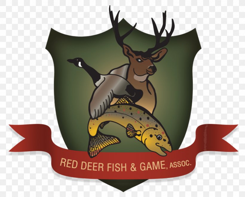 Red Deer Reindeer Game Meat, PNG, 862x693px, Red Deer, Alberta, Angling, Antler, Brand Download Free