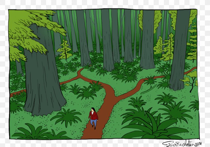 Biome Flora Rainforest Fauna Vegetation, PNG, 917x642px, Biome, Art, Branch, Cartoon, Ecosystem Download Free