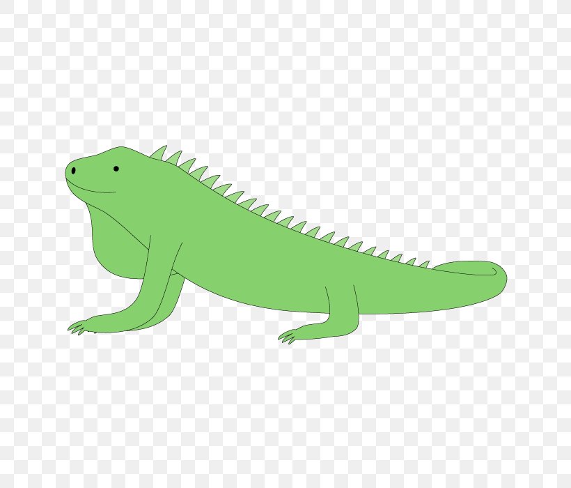Common Iguanas Clip Art Illustration Amphibians Fauna, PNG, 700x700px, Common Iguanas, Amphibian, Amphibians, Animal, Animal Figure Download Free