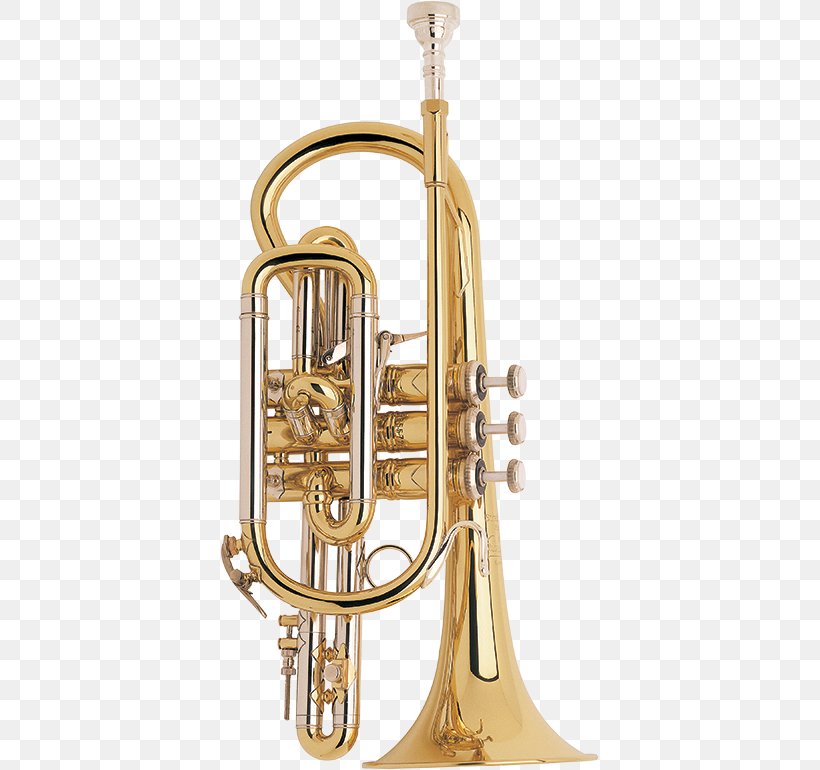 Cornet Trumpet Flugelhorn Mellophone Vincent Bach Corporation, PNG, 379x770px, Watercolor, Cartoon, Flower, Frame, Heart Download Free