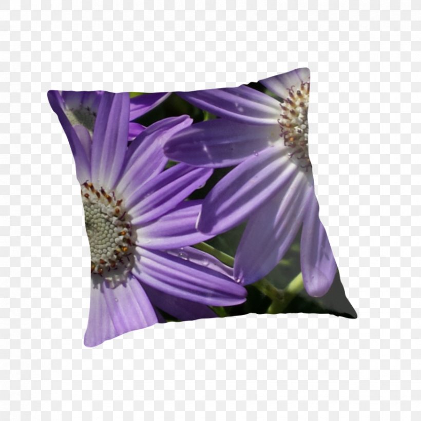 Cushion Throw Pillows, PNG, 875x875px, Cushion, Flower, Flowering Plant, Petal, Purple Download Free