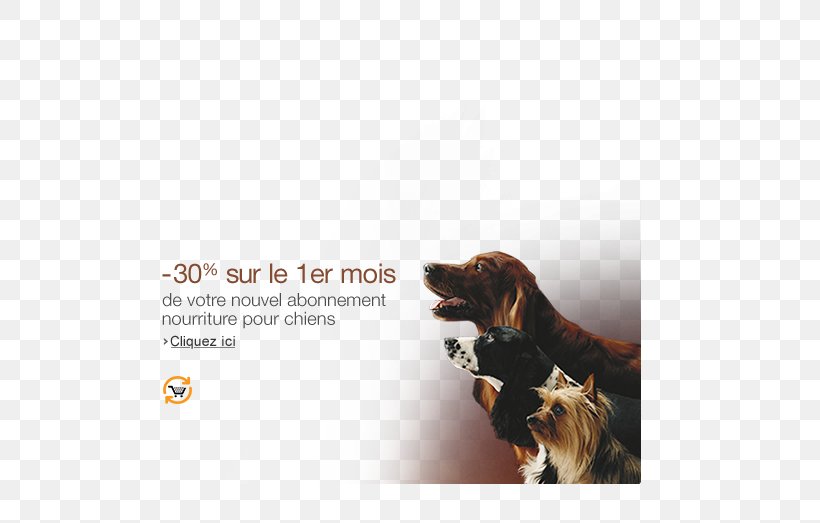 Dog Breed Advertising Leash, PNG, 540x523px, Dog Breed, Advertising, Brand, Breed, Dog Download Free