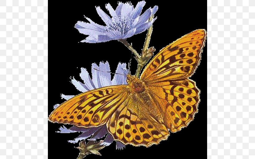 GIF Clip Art Butterfly Animation, PNG, 512x512px, Butterfly, Animation, Argynnis, Arthropod, Blog Download Free
