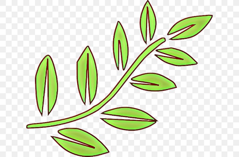 Leaf Green Plant Flower Grass, PNG, 640x539px, Cartoon, Flower, Flowering Plant, Grass, Green Download Free