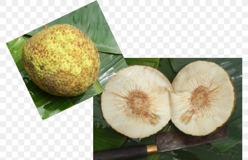 Superfood Fruit, PNG, 782x528px, Superfood, Food, Fruit Download Free