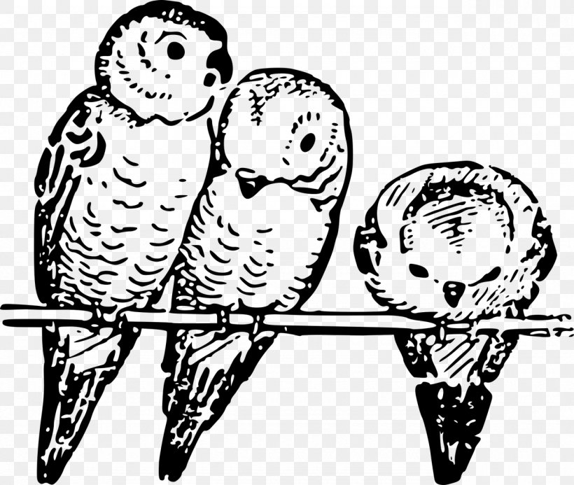 Budgerigar Bird Parrot Parakeet Clip Art, PNG, 1280x1083px, Watercolor, Cartoon, Flower, Frame, Heart Download Free