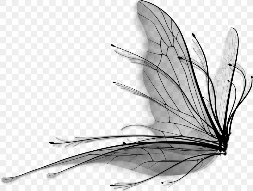 Butterfly Wing Product Design Line, PNG, 2123x1607px, Butterfly, Black M, Blackandwhite, Feather, Insect Download Free