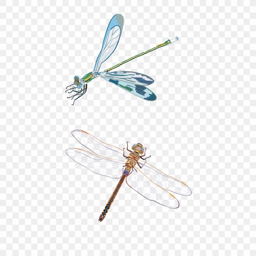 Dragonfly Insect, PNG, 1000x1000px, Dragonfly, Animation, Arthropod, Cartoon, Dragonflies And Damseflies Download Free