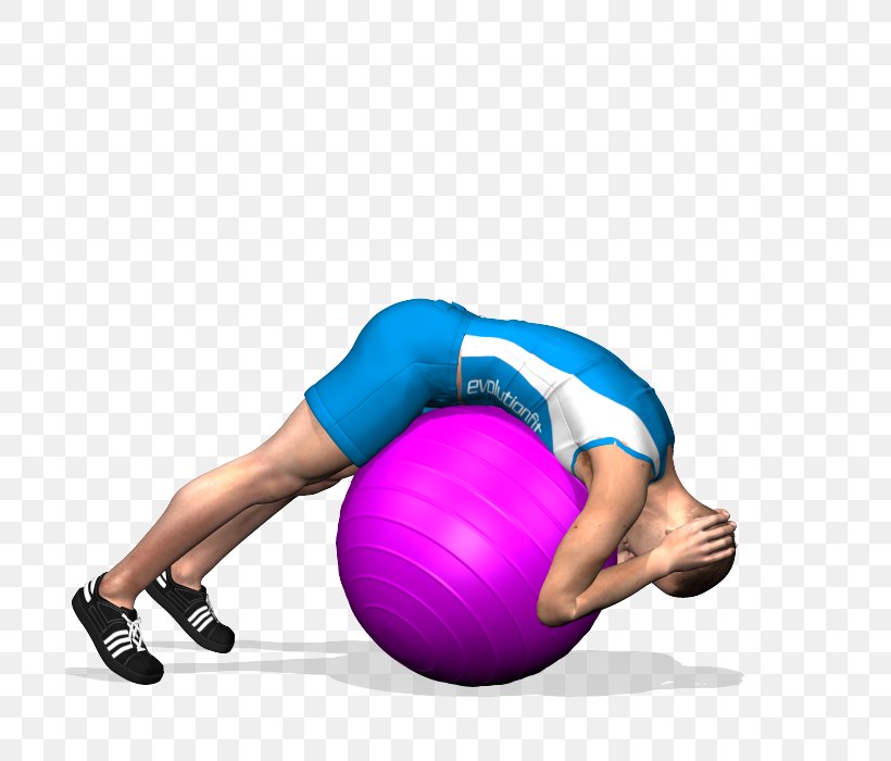 Exercise Balls Pilates Hyperextension Crunch, PNG, 700x700px, Watercolor, Cartoon, Flower, Frame, Heart Download Free