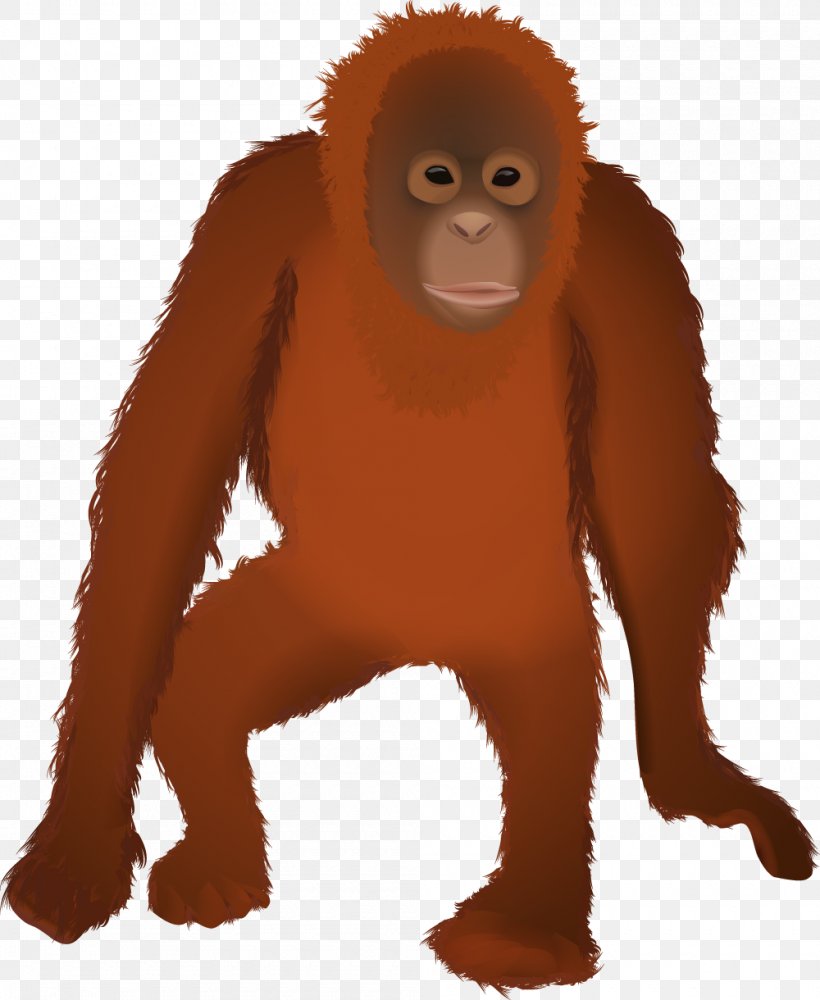 Gorilla Orangutan Primate Monkey Animal, PNG, 1000x1220px, Gorilla, Animal, Ape, Carnivoran, Great Ape Download Free