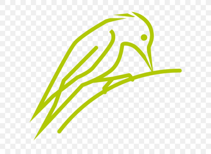 Leaf Green Plant Stem Product Design Clip Art, PNG, 600x600px, Leaf, Grasses, Green, Line Art, Plant Download Free