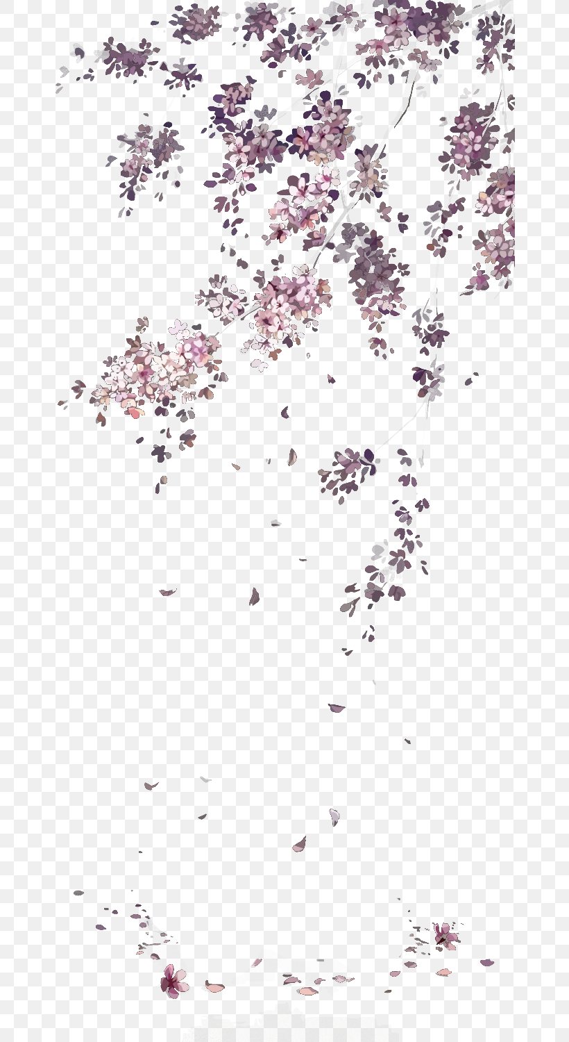 Cherry Blossom Para Para, PNG, 664x1500px, Killua Zoldyck, Area, Blossom, Branch, Cherry Blossom Download Free