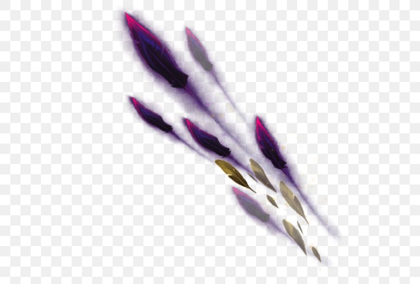 Feather League Of Legends Bird Quill Wing, PNG, 554x554px, Feather, Archiveis, Bird, Dance, Flower Download Free