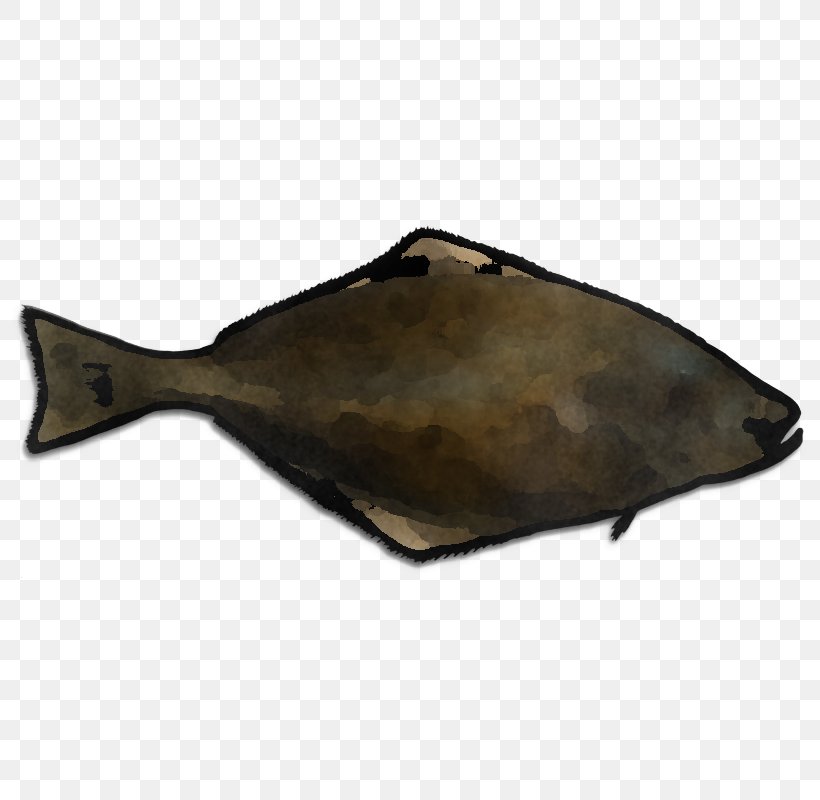 Fish Flatfish Sole Metal, PNG, 800x800px, Fish, Flatfish, Metal, Sole Download Free