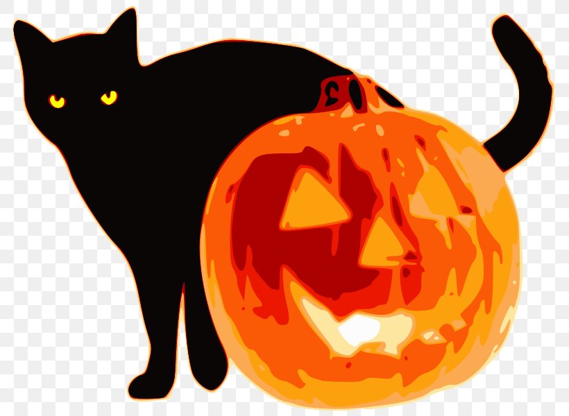 Jack-o'-lantern Kitten Whiskers Cat Halloween, PNG, 800x600px, Kitten, Black, Black Cat, Calabaza, Carnivoran Download Free