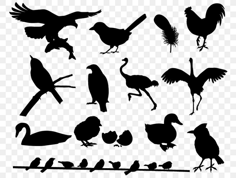 Silhouette Bird Beak Clip Art, PNG, 770x619px, Silhouette, Beak, Bird, Black And White, Branch Download Free