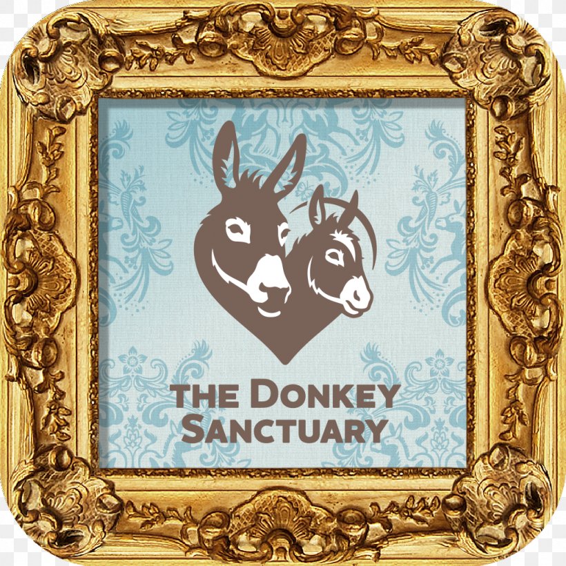 The Donkey Sanctuary Picture Frames Animal Pattern, PNG, 1024x1024px, Donkey Sanctuary, Animal, Donkey, Picture Frame, Picture Frames Download Free