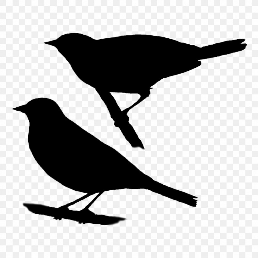 Beak American Crow Bird Common Raven New Caledonian Crow, PNG, 1024x1024px, Beak, American Crow, American Sparrow, American Sparrows, Art Download Free