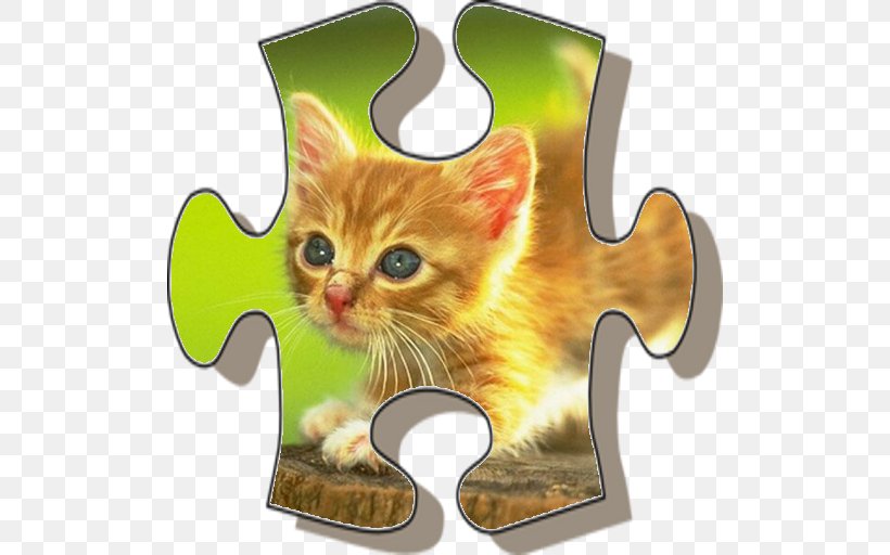 Cat Kitten Desktop Wallpaper, PNG, 512x512px, Cat, Carnivoran, Cat Like Mammal, Display Resolution, Highdefinition Television Download Free