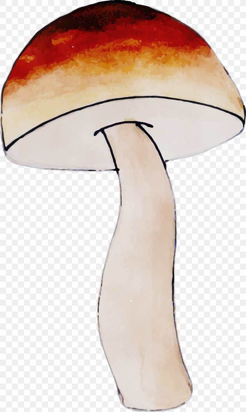 Lighting Mushroom Table, PNG, 1788x3000px, Watercolor Mushroom, Lighting, Mushroom, Paint, Table Download Free